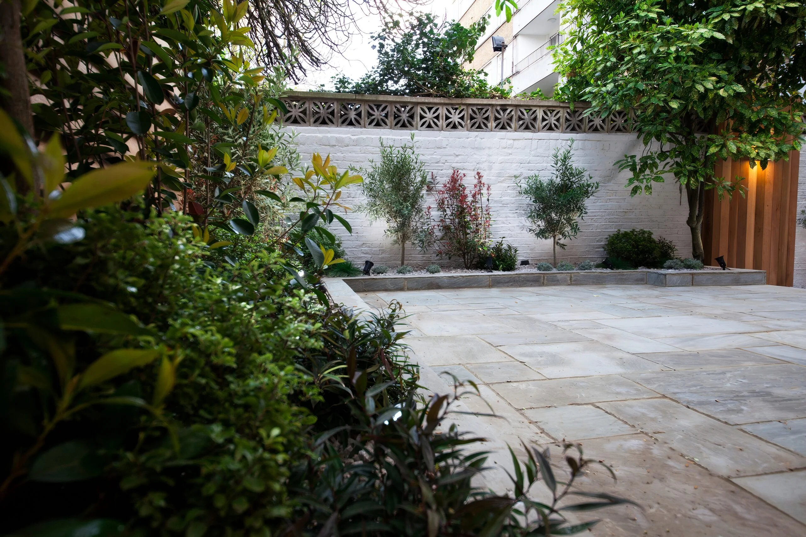 Sandstone patio with olive trees and raised planting bed